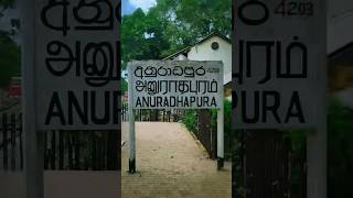 අනුරාධපුර | Anuradhapura: The first capital of Sri Lanka 🌾🪷🌞Travel vlog | Dilee #trending #shorts