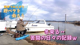 冬来る・・苦闘の日々の記録【へら野釣り、利根川小野川】