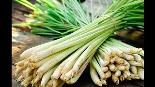 How to prepare Lemongrass for cooking