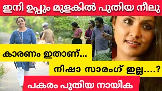 Uppum mulakum | നീലു ഇനി ഉപ്പും മുളകിൽ ഇല്ല പുതിയ നായിക വരുന്നു | New update | Flowers Tv