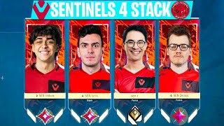 When 4 Sentinels Stack DOMINATE In Rank 💀💀 | Tarik, Zekken, Zellsis, Reduxx In One Team