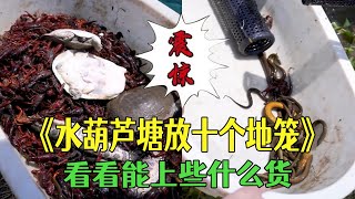 花800在長滿水葫蘆的塘放十個地籠，看看能上些什麽貨？#戶外 #三農 #農村生活 #小飛哥#抓魚vlog