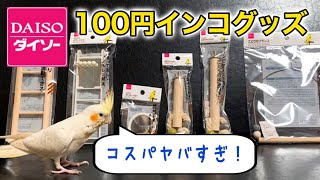 ダイソーから発売された100円インコグッズが安すぎる...!!【レビュー】