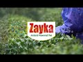 Zayka Tea Promotion Video | Created By Meeways Studio | Video Order At +919991928291