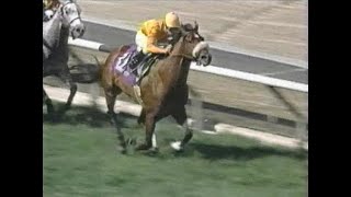 ESPN RaceHorse Digest : November 8th 1993