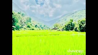 නකල්ස් කදු / Knuckles Mountain Range Srilanka