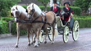 Koetsentocht 2012 Rouveen [ook in HD]