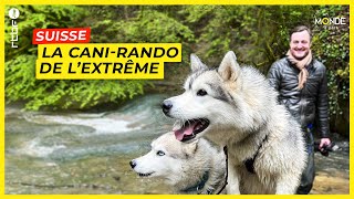 Suisse : la cani-rando de l'extrême avec des Huskies dans le Gros-de-Vaud - Un Monde à part