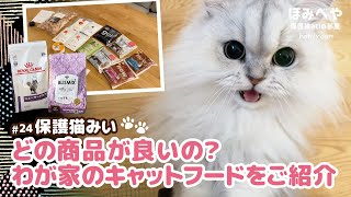 【キャットフード紹介】保護猫みい｜どの商品が良いの？わが家のキャットフードをご紹介#24