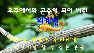 (한국의 곤충) 신비한 작은생명 \