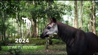 Okapi Conservation Project 2024 Year In Review