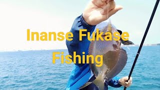 Inanse Fukase Fishing #フカセ釣り #沖縄釣り #釣り