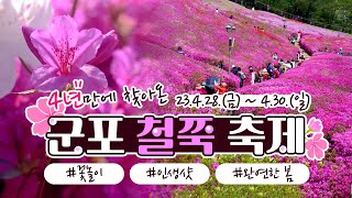 여기가 지금, 바로 꽃놀이 감성 그잡채 #2023군포철쭉축제