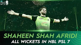 Watch Shaheen Shah Afridi all wickets in HBL PSL 7!