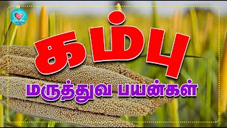 கம்பு மருத்துவ பயன்கள்! Pearl Millet Health Benefits! #healthinfo #millet #millets #milletrecipe