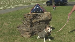 Strangers gather to pay respects to veteran who would have no family attending his funeral