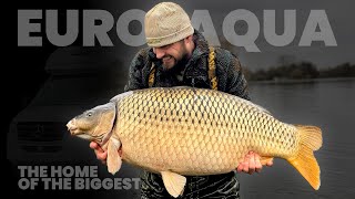 Home Of The 110LB+ CARP - ParkerBaits At Euro Aqua