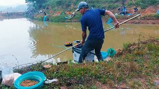 CÂU GẦN BỜ,  LÀ LỰA CHỌN ƯU TIÊN CHO CÁC BUỔI CÂU KHAI TRƯƠNG, CÂU CHÉP MỚI #fishing #shorts