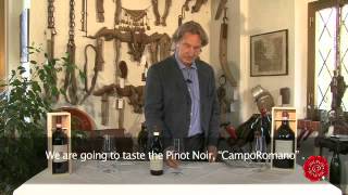 Langhe DOC Pinot Nero Campo Romano - Poderi Colla