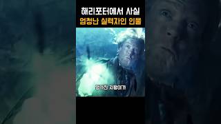 해리포터에서 사실 엄청난 실력자인 인물