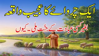 Aik Charwahy Ka Ajeeb Waqia | Aik Charwahy Ki Muhammad SAW Sy Mulaqat | Khazina-e-Hidayat