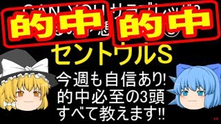 【今週も自信あり! 的中必至の3頭 すべて教えます!!】セントウルステークス 京王杯オータムハンデ 紫苑ステークス ちるのの競馬予想 2019年【Can you サラブレッド?】