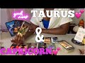 TAURUS & CAPRICORN💕 Love does LAST! How do they Feel now?|Capricorn vs All Signs Tarot