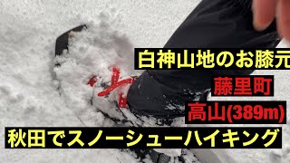 【秋田でスノーシューハイキング】白神山地のお膝元・藤里町の高山(389m)へ