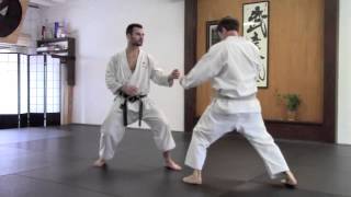 Karate Crescent Kick and Sweep