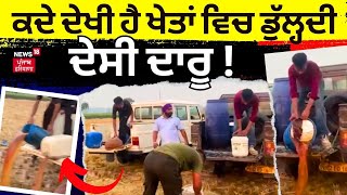 Gurdaspur News | ਕਦੇ ਦੇਖੀ ਹੈ ਖੇਤਾਂ 'ਚ ਡੁੱਲ੍ਹਦੀ ਦੇਸ਼ੀ ਦਾਰੂ ! | Illicit liquor | Punjab News | N18V