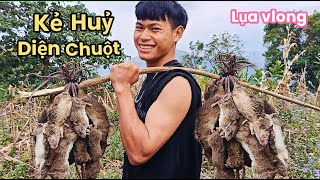 KHI KẺ HỦY DIỆN CHUỘT VÀO RỪNG (Lụa vlong)