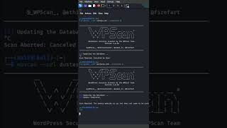 How Hackers Find WordPress Vulnerabilities | Ethical Hacking Kali Linux #ethicalhacking #kalilinux