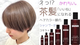 【新時代ブラウンシャンプー】茶髪になりたい人は必見！【カラーシャンプー】