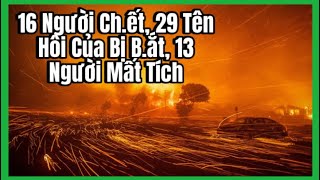 16 Người Ch.ết, 29 Tên Hôi Của Bị B.ắt, 13 Người Mất Tích