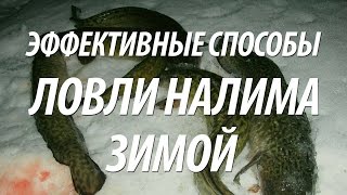 РЫБА НАЛИМ ЗИМОЙ - КАК ПОЙМАТЬ НАЛИМА НА ЗИМНЕЙ РЫБАЛКЕ