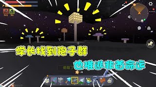 学长美人奇幻日记73：完成美人的任务！结果却被打脸了？ 【学长很正经】