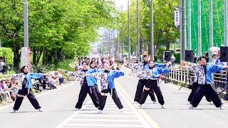 [4K] ユズリハ　豊川市民まつり おいでん祭 2024　ダンスフェス　パレードステージ