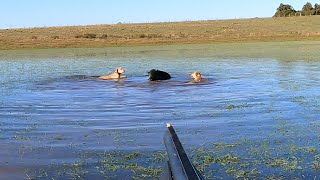 Empaque e acuação 2x0