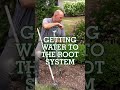 How to get Water to your Garden's Root System in a Drought