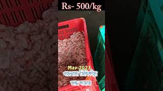 নামখানা মাছের বাজারে চিংড়ির দাম || prawn price in Kolkata || বাগদা চিংড়ি