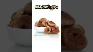 അത്തിപ്പഴം കഴിച്ചാലുള്ള ഗുണം | Athippazham #athippzham #shorts #short #pileshomeremedy #piles