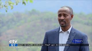 የንግድ እና ኢንዱስትሪ ሚኒስቴር ባለፉት 6 ወራት ምን ሰራ?|etv