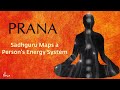 Prana - Sadhguru maps a person's energy system | Sadhguru Exclusive | Guruvin Madiyil