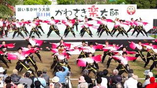 関東学院大学“誇咲”　in　かわさき楽大師「厄除よさこい」　2015