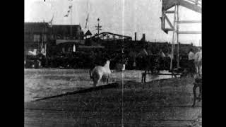 1899 - The diving horses - James Henry White (Edison Studios)