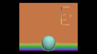 Nucleate boiling simulation