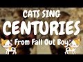 Cats Sing Centuries by Fall Out Boy | Cats Singing Song