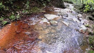 【二色の川】赤茶色い川と合流する普通の色の川を遡ったらイワナだらけだった