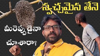 మా అడవి లో దొరికే శ్వఛ్చమైన తేనె #purehoney #wildhoney @BangkokPilla