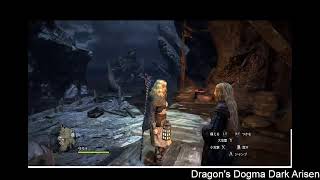 たまにやるDragon's Dogma Dark Arisen 1日目